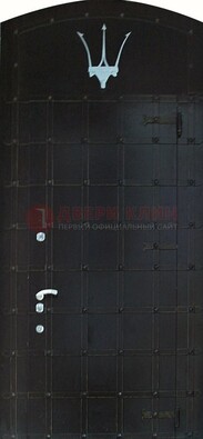 Металлическая арочная дверь ДА-22 высокого качества в Егорьевске
