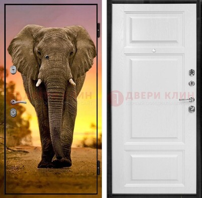 Металлическая дверь с фотопечатью слона ДФ-30 в Санкт-Петербурге