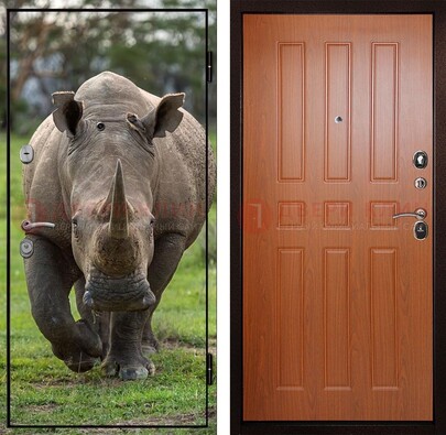 Металлическая дверь с фотопечатью носорога ДФ-31 в Егорьевске