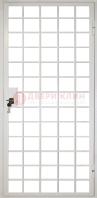 Белая металлическая решетчатая дверь ДР-2 в Егорьевске